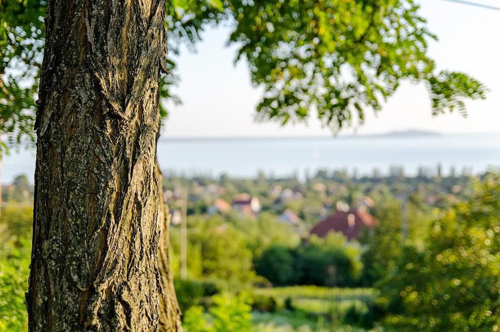 Hillside Apartments Révfülöp Dış mekan fotoğraf